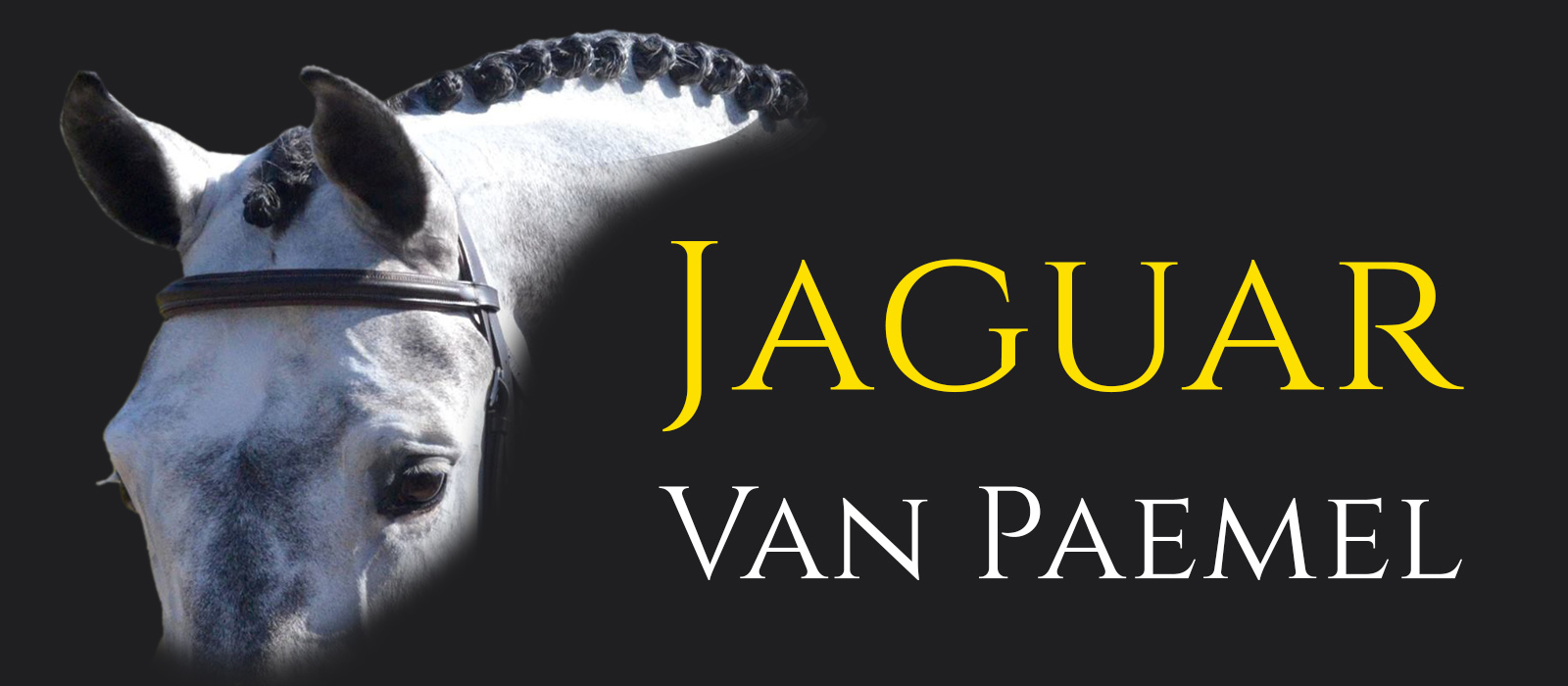 Jaguar van Paemel