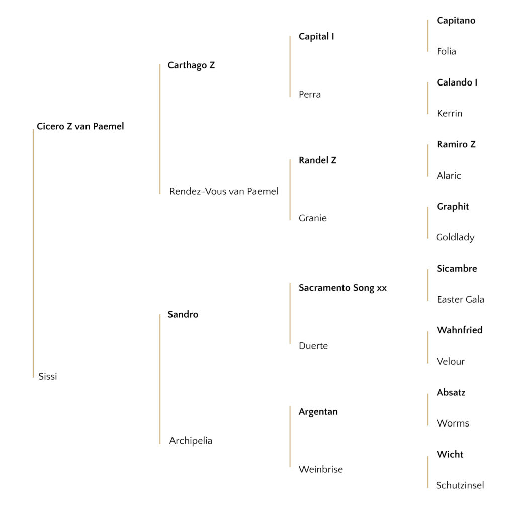 pedigree of Jaguar van Paemel